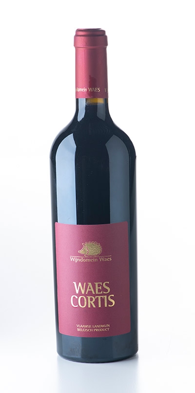 WAES CABERNET CORTIS 2022