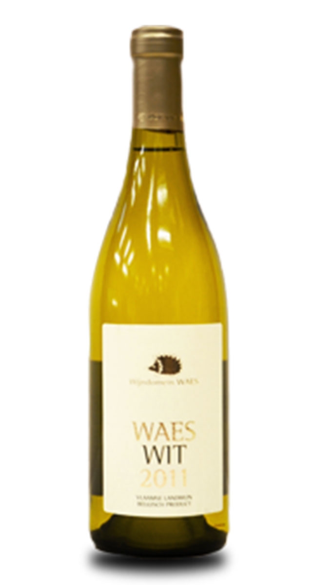 Waes Wit 2011