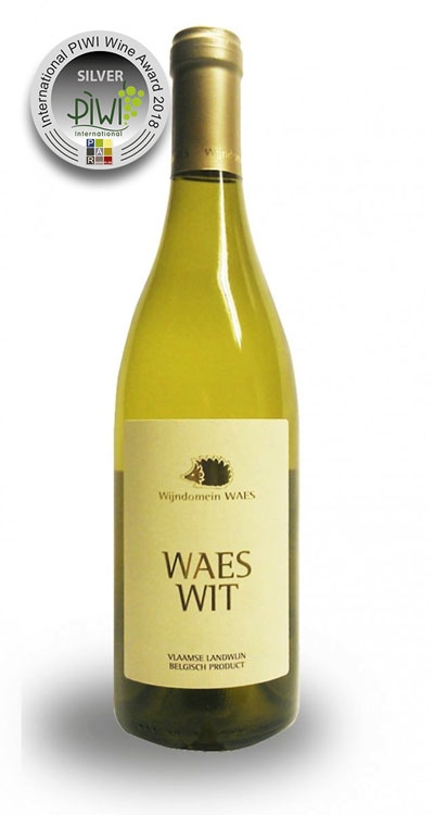 Waes Wit 2017